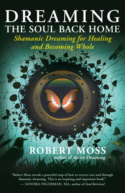 Cover image for book Dreaming the Soul Back Home