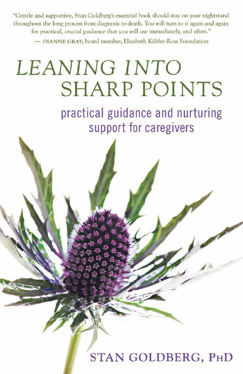 Cover image for book Leaning into Sharp Points