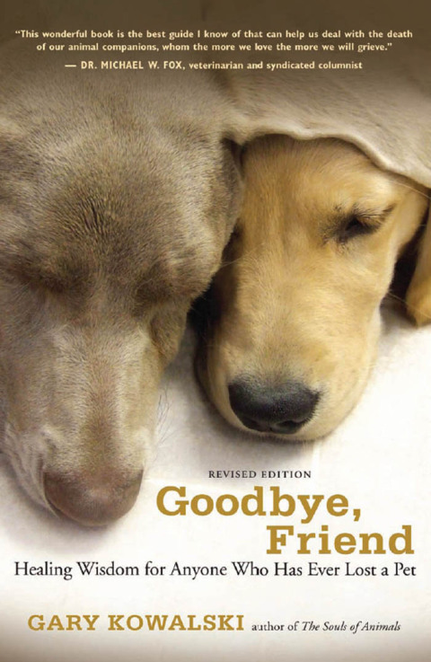 Cover image for book Goodbye, Friend