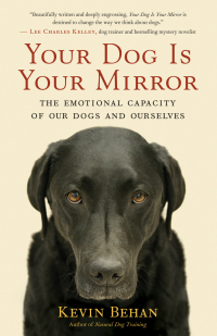 Cover image: Your Dog Is Your Mirror 9781608680887