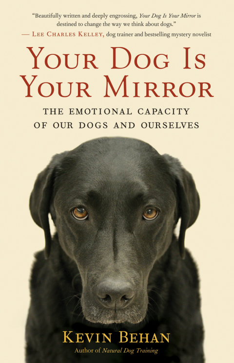 Cover image for book Your Dog Is Your Mirror