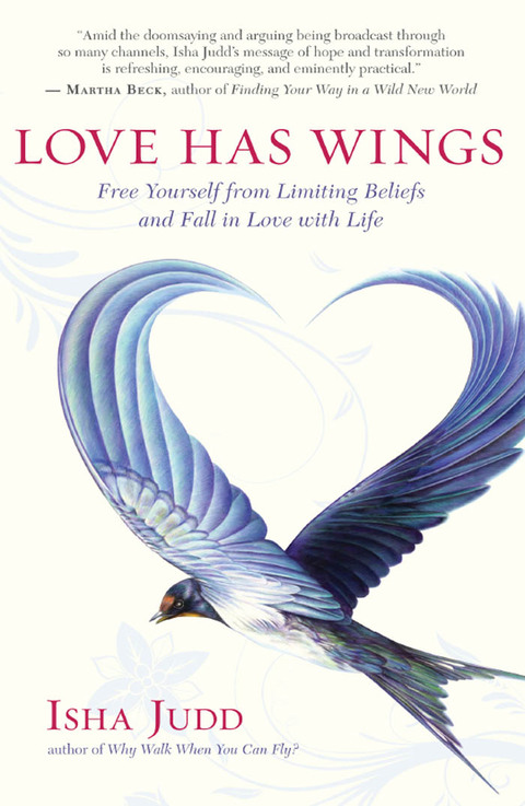 Cover image for book Love Has Wings