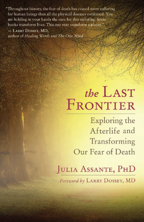 Cover image for book The Last Frontier