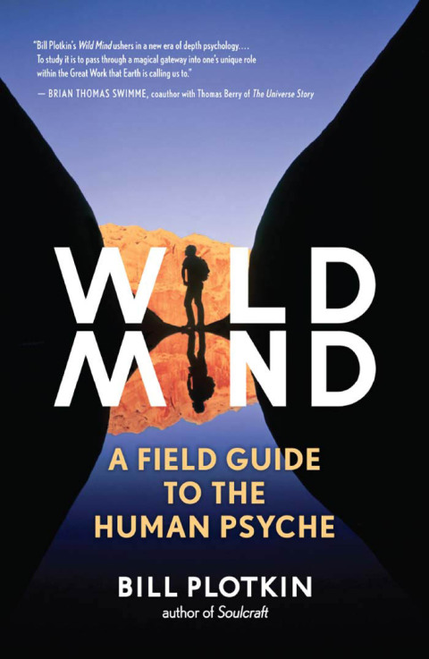Cover image for book Wild Mind