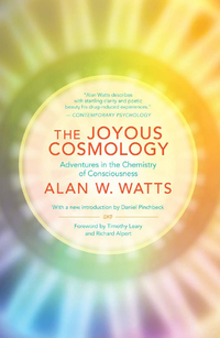 Cover image: The Joyous Cosmology 9781608682041