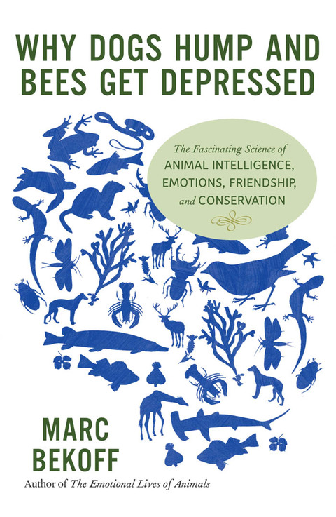 Cover image for book Why Dogs Hump and Bees Get Depressed