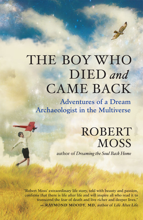 Cover image for book The Boy Who Died and Came Back