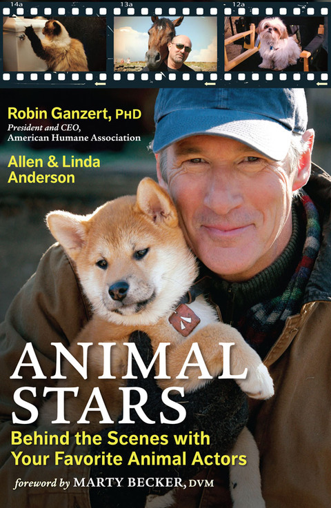 Cover image for book Animal Stars