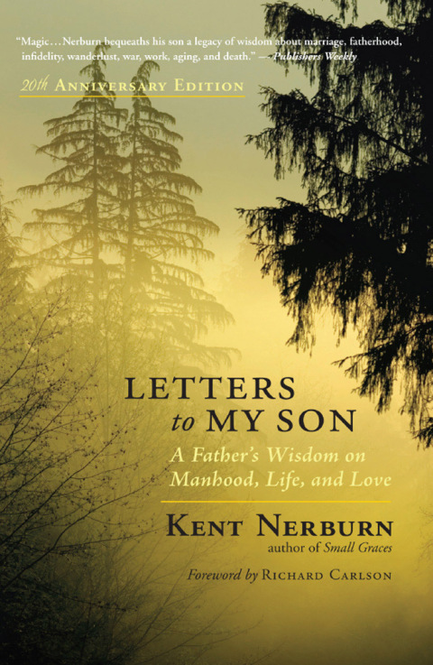 Cover image for book Letters to My Son