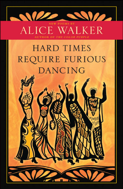 Cover image for book Hard Times Require Furious Dancing