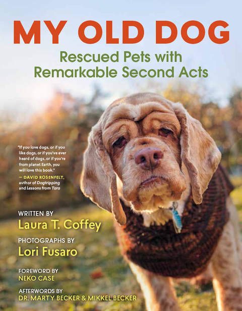 Cover image for book My Old Dog