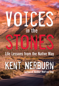Cover image: Voices in the Stones 9781608683901