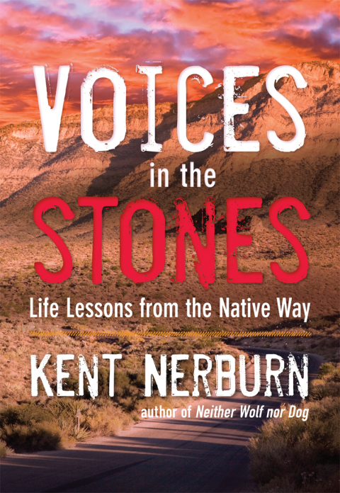 Cover image for book Voices in the Stones