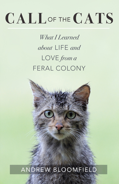 Cover image for book Call of the Cats