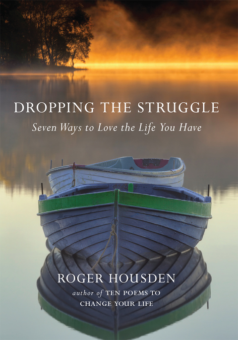 Cover image for book Dropping the Struggle