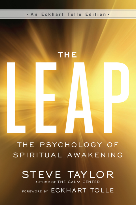 Cover image for book The Leap