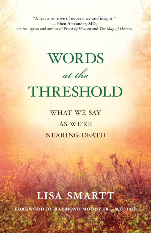 Cover image for book Words at the Threshold