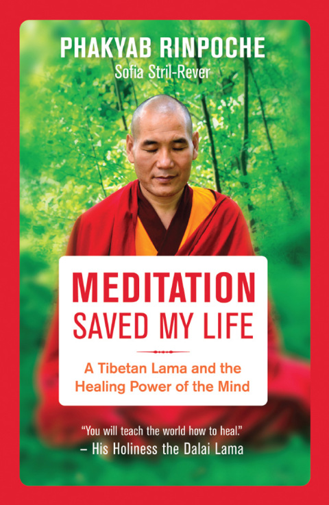 Cover image for book Meditation Saved My Life