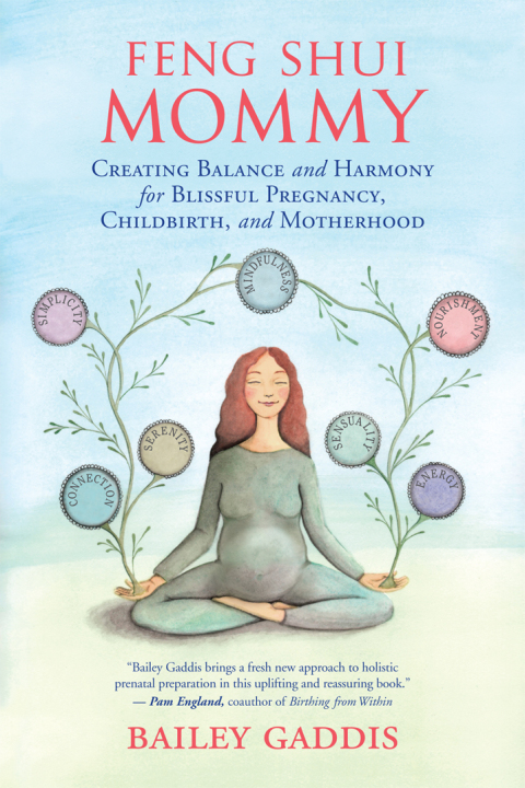 Cover image for book Feng Shui Mommy