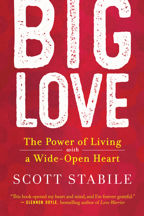 Cover image for book Big Love