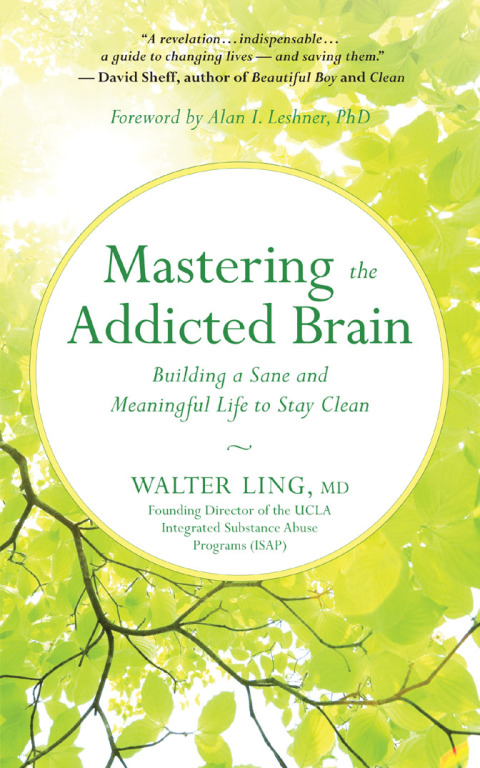 Cover image for book Mastering the Addicted Brain