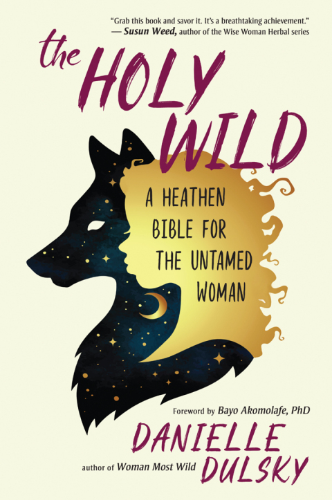 Cover image for book The Holy Wild