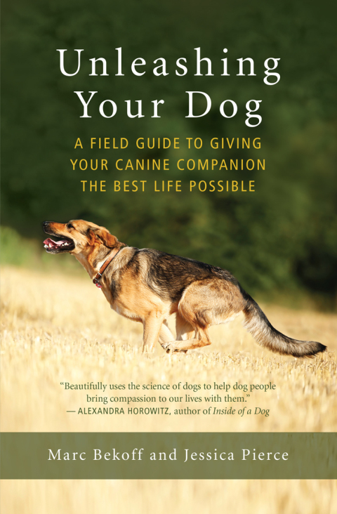 Cover image for book Unleashing Your Dog