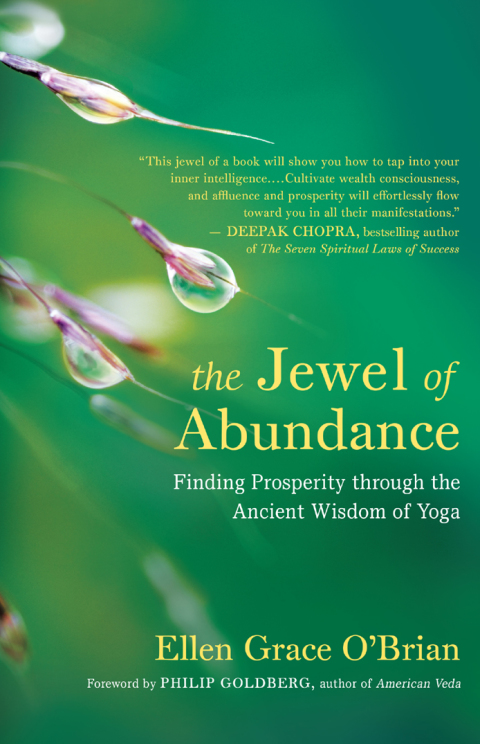 Cover image for book The Jewel of Abundance