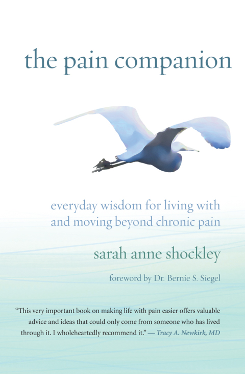 Cover image for book The Pain Companion