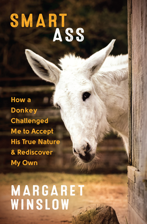 Cover image for book Smart Ass