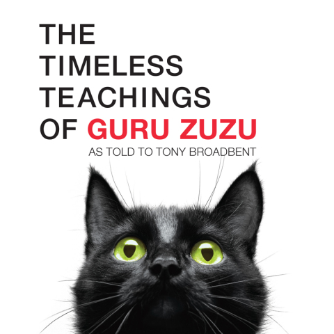 Cover image for book The Timeless Teachings of Guru Zuzu