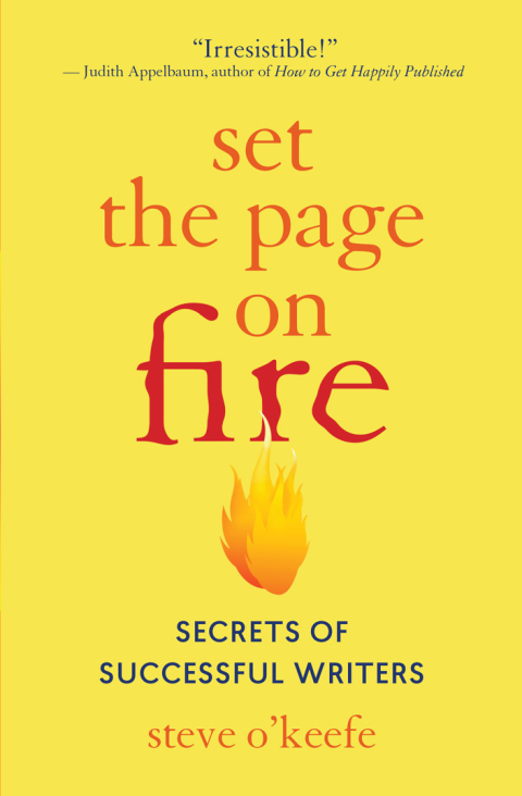 Cover image for book Set the Page on Fire