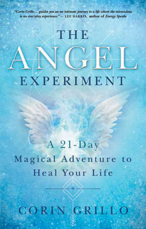 Cover image for book The Angel Experiment