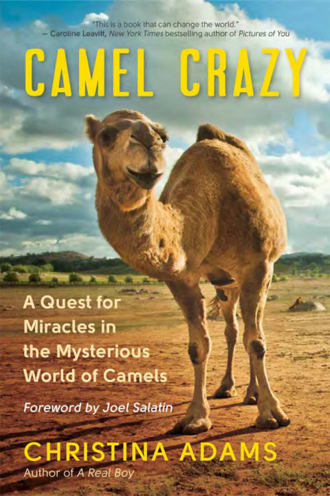 Cover image for book Camel Crazy