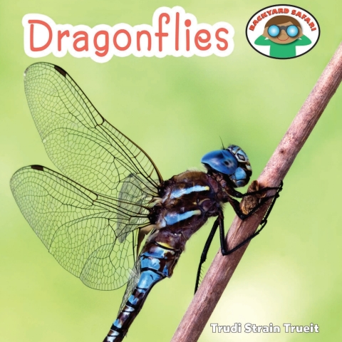 Cover image for book Dragonflies