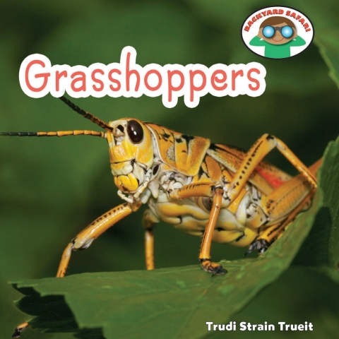 Cover image for book Grasshoppers