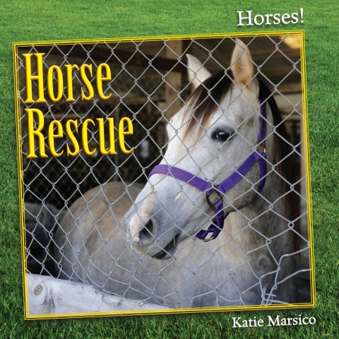 Cover image for book Horse Rescue