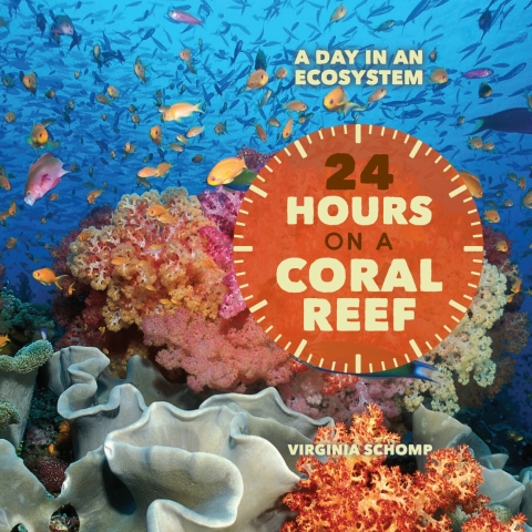 Cover image for book 24 Hours on a Coral Reef