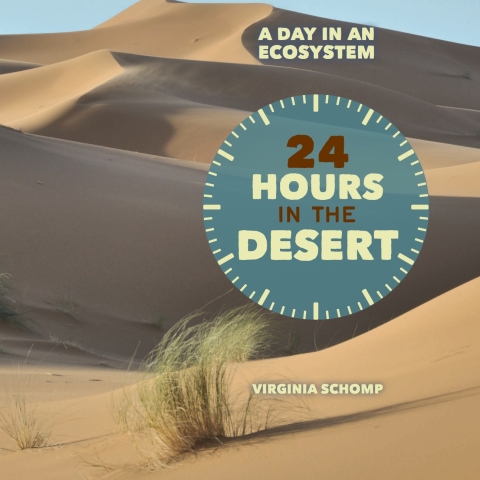 Cover image for book 24 Hours in the Desert