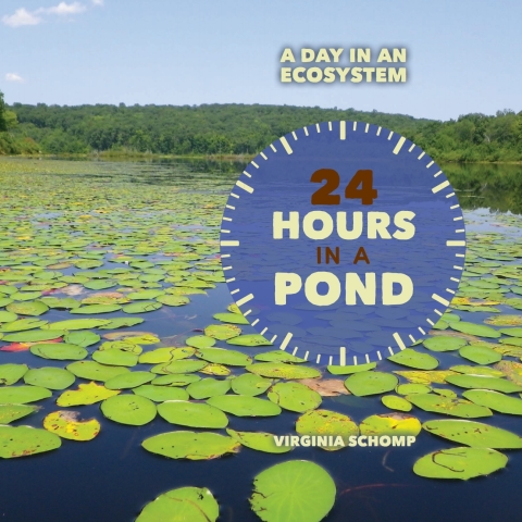 Cover image for book 24 Hours in a Pond