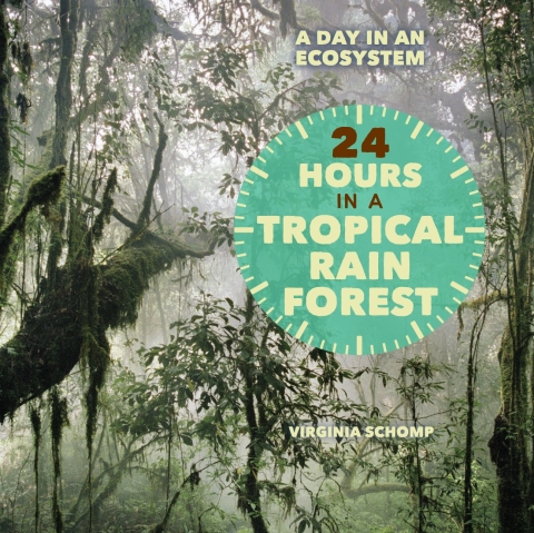 Cover image for book 24 Hours in a Tropical Rain Forest