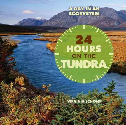 Cover image for book 24 Hours on the Tundra