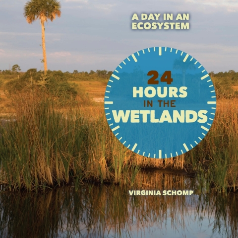 Cover image for book 24 Hours in the Wetlands