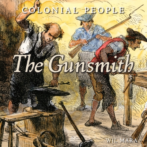 Cover image for book The Gunsmith