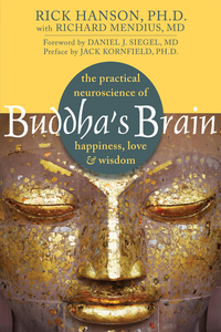 Imagen de portada: Buddha's Brain 9781572246959