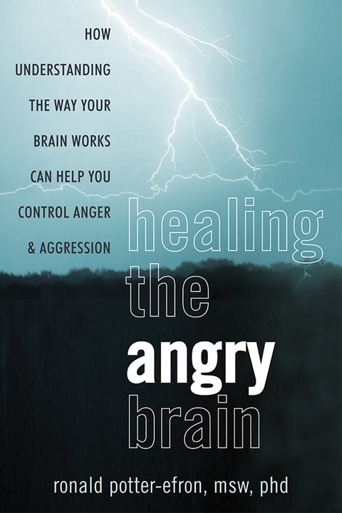 Cover image for book Healing the Angry Brain