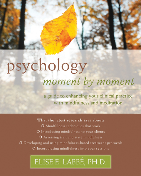 Cover image for book Psychology Moment by Moment