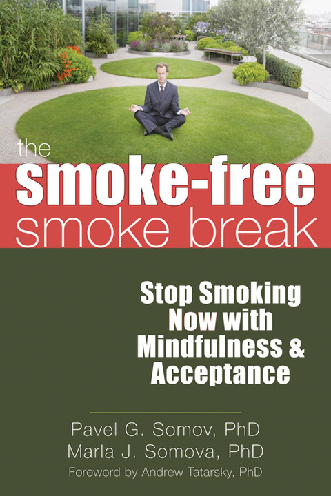Cover image for book The Smoke-Free Smoke Break