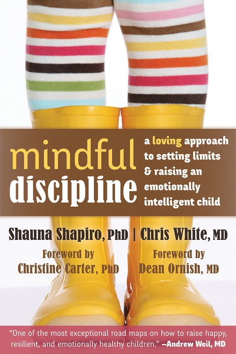 Cover image for book Mindful Discipline