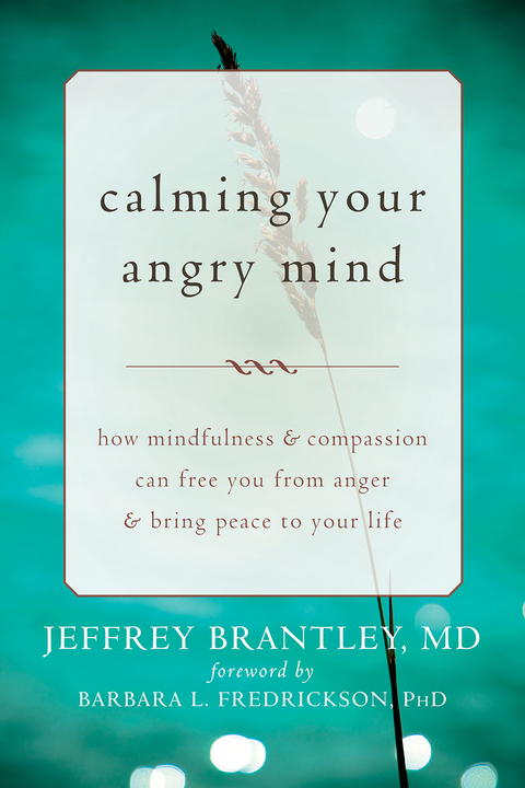 Cover image for book Calming Your Angry Mind